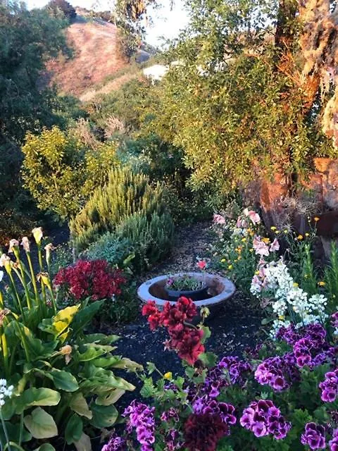 Casas Rurales Tio Antonio Las Rosas  Сasa de vacaciones Las Rosas (El Hierro)